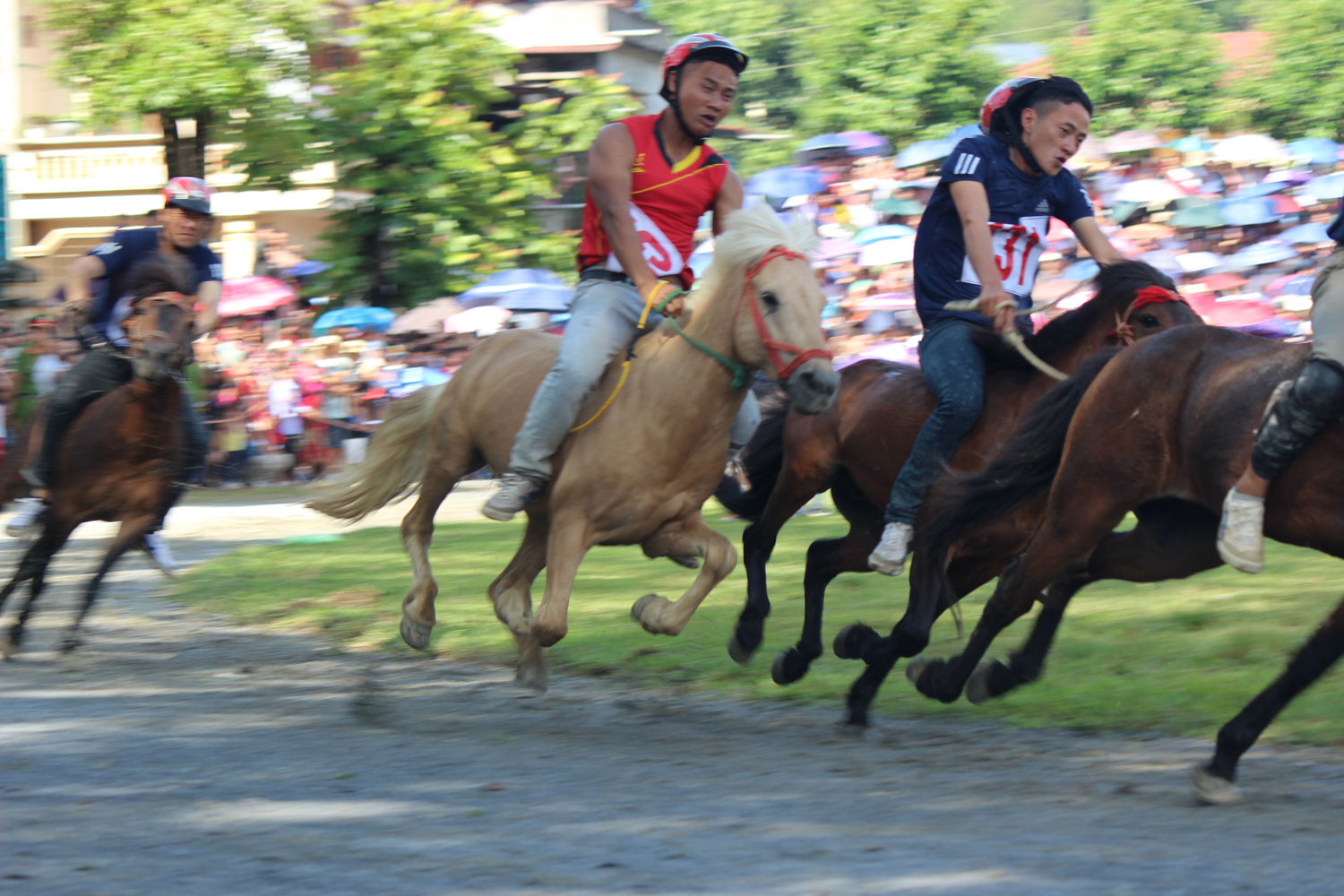 Lễ hội đua ngựa tại Bắc Hà