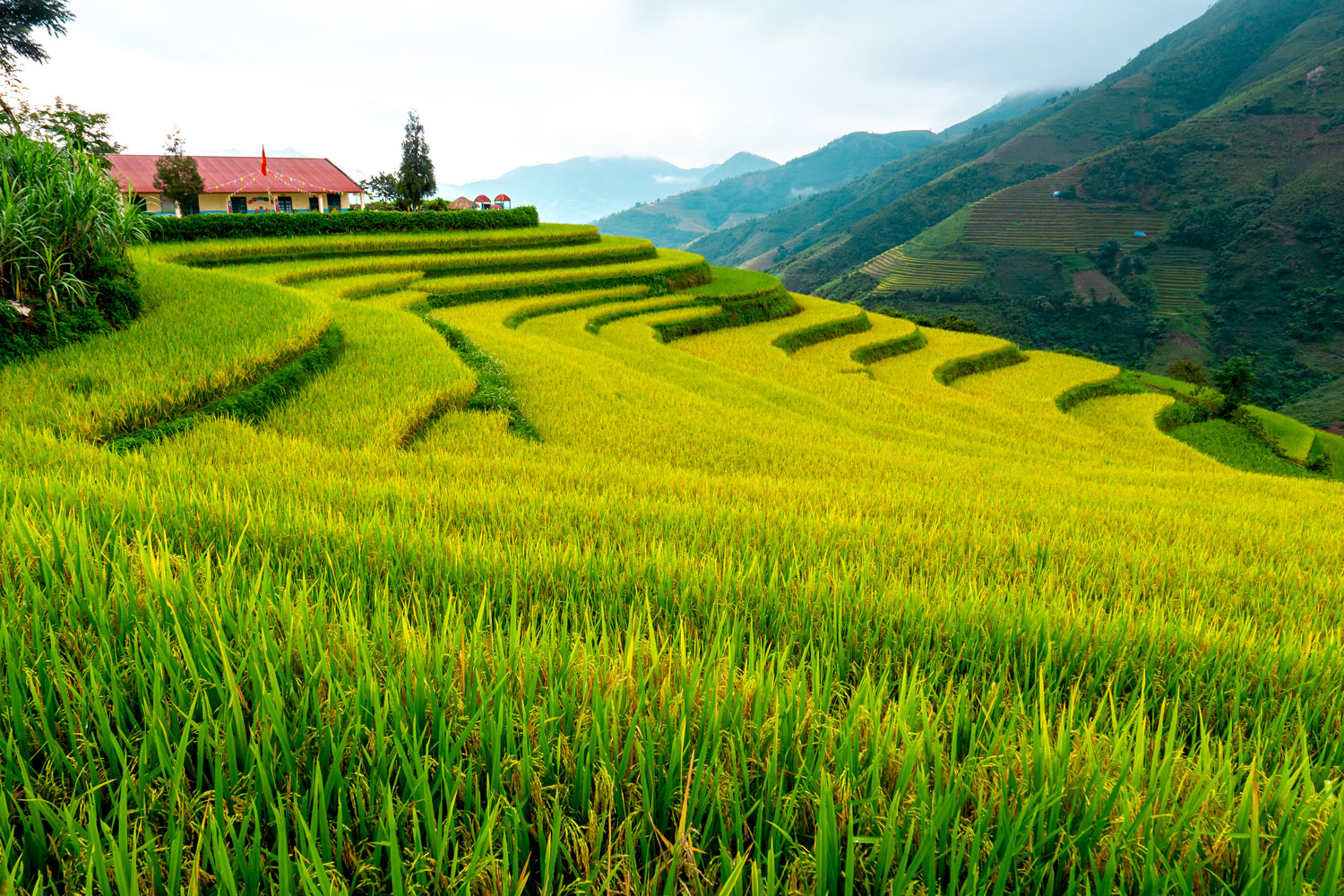 Khám phá sắc màu chợ Lùng Phình và ẩm thực Bản Liền