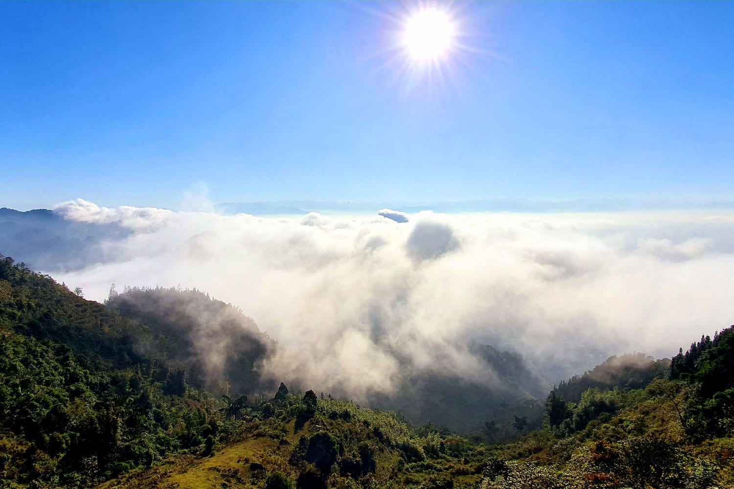 Săn Mây ở Bắc Hà