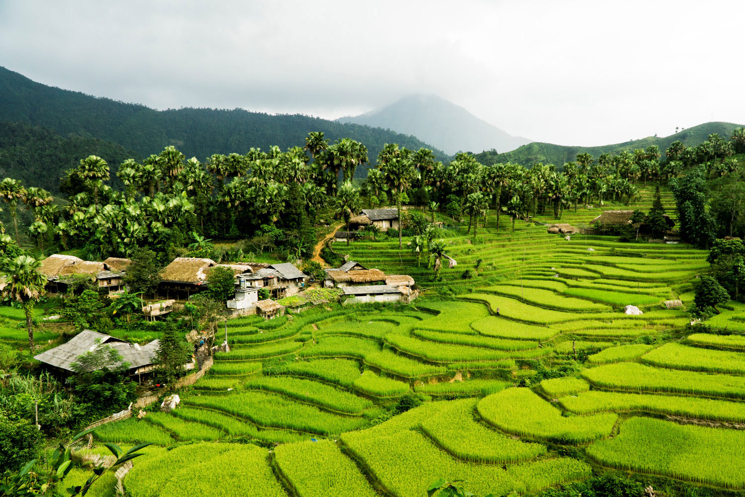 Cung Đường Simacai