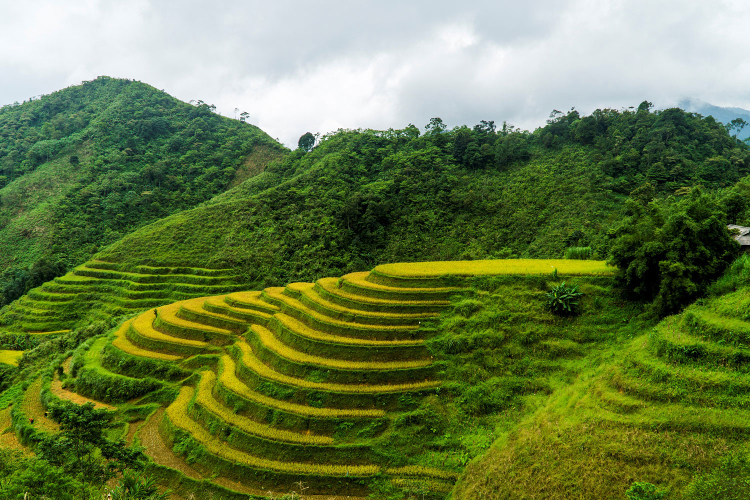 Bắc Hà – Simacai: Những cung đường mê đắm