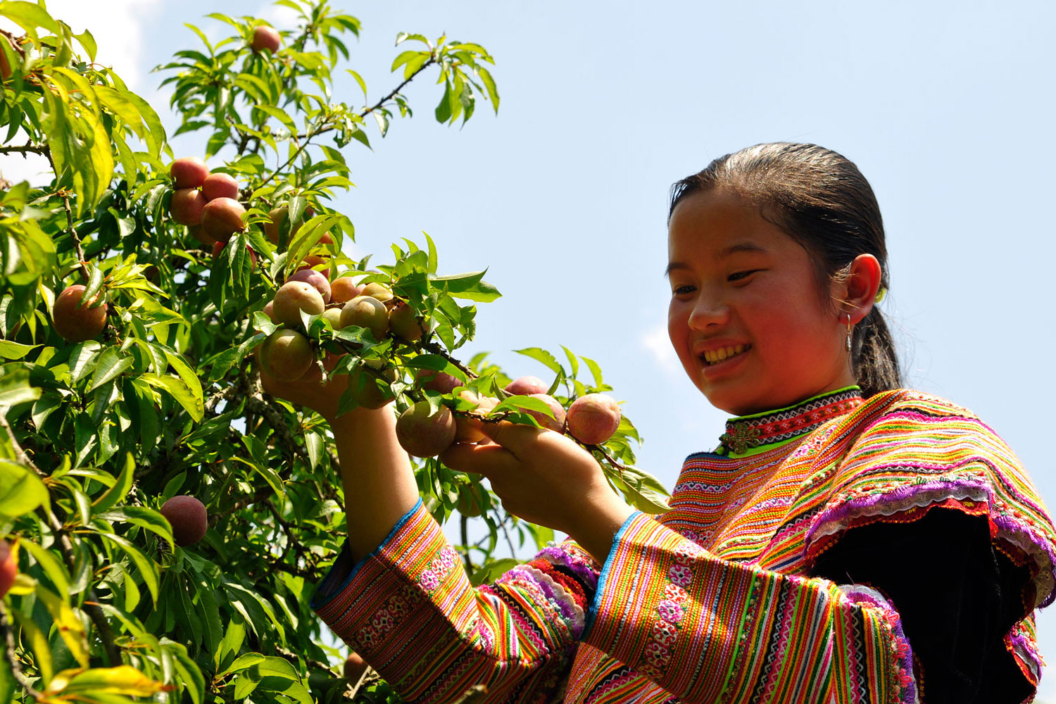 Về Bắc Hà